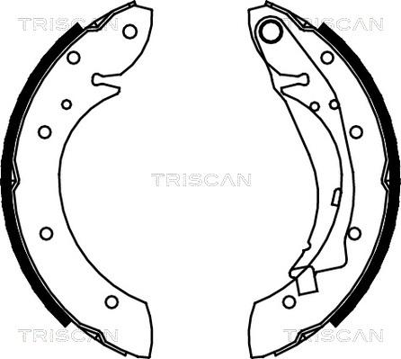 Triscan 8100 28598 - Bremžu loku komplekts adetalas.lv