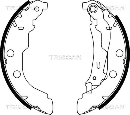 Triscan 8100 28582 - Bremžu loku komplekts adetalas.lv