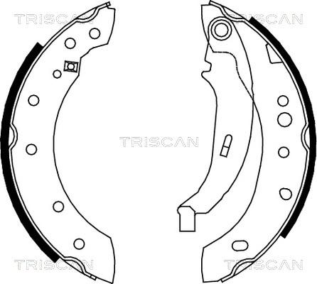 Triscan 8100 28052 - Bremžu loku komplekts adetalas.lv