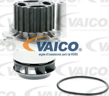 VAICO V10-50060-1 - Ūdenssūknis adetalas.lv