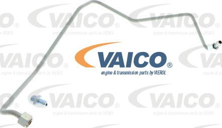 VAICO V10-3733 - Eļļas cauruļvads, Kompresors adetalas.lv