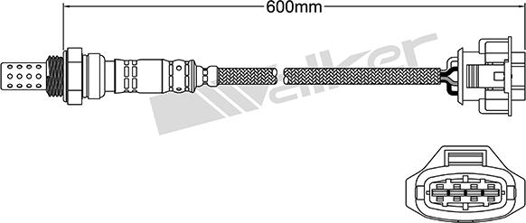 VEGAZ ULS-179 - Lambda zonde adetalas.lv