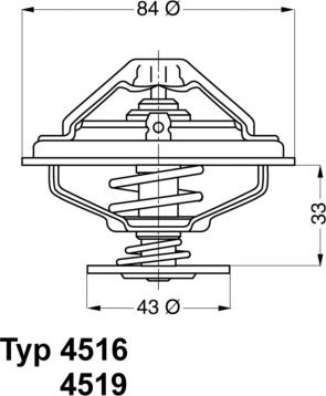 WAHLER 4516.85D - Termostats, Dzesēšanas šķidrums adetalas.lv