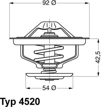 WAHLER 4520.80D - Termostats, Dzesēšanas šķidrums adetalas.lv