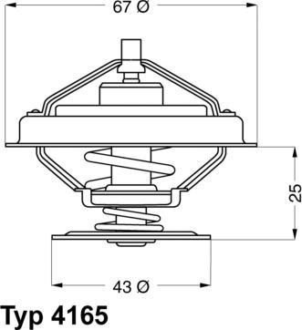 WAHLER 416579D - Termostats, Dzesēšanas šķidrums adetalas.lv