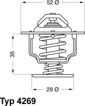 WAHLER 426978D - Termostats, Dzesēšanas šķidrums adetalas.lv