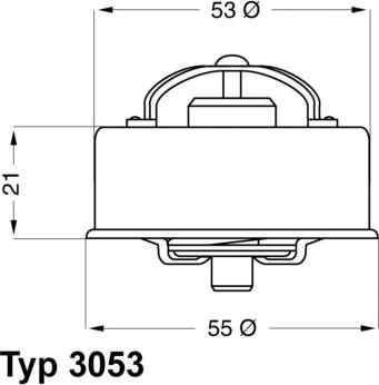 WAHLER 3053.72 - Termostats, Dzesēšanas šķidrums adetalas.lv