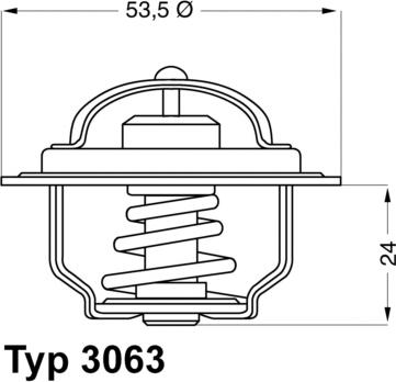 WAHLER 3063.75 - Termostats, Dzesēšanas šķidrums adetalas.lv