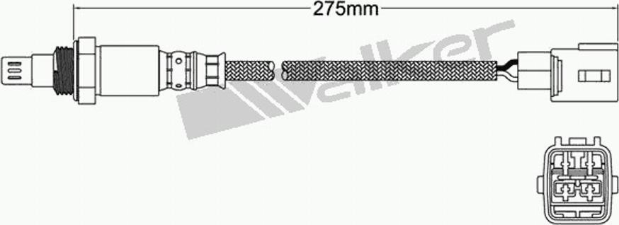 Walker 250-54050 - Lambda zonde adetalas.lv