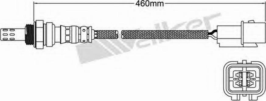 Walker 250-24461 - Lambda zonde adetalas.lv