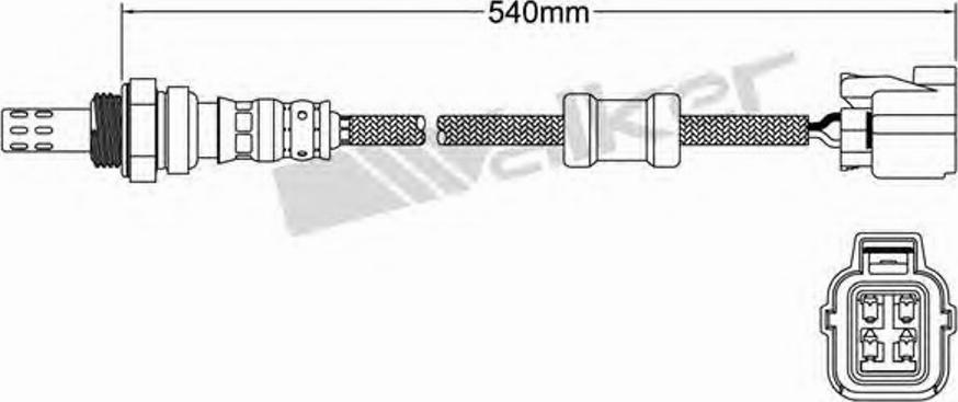 Walker 250-24429 - Lambda zonde adetalas.lv