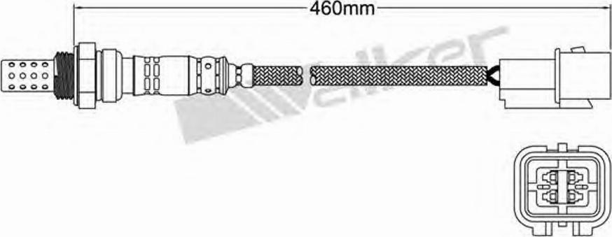 Walker 25024662 - Lambda zonde adetalas.lv