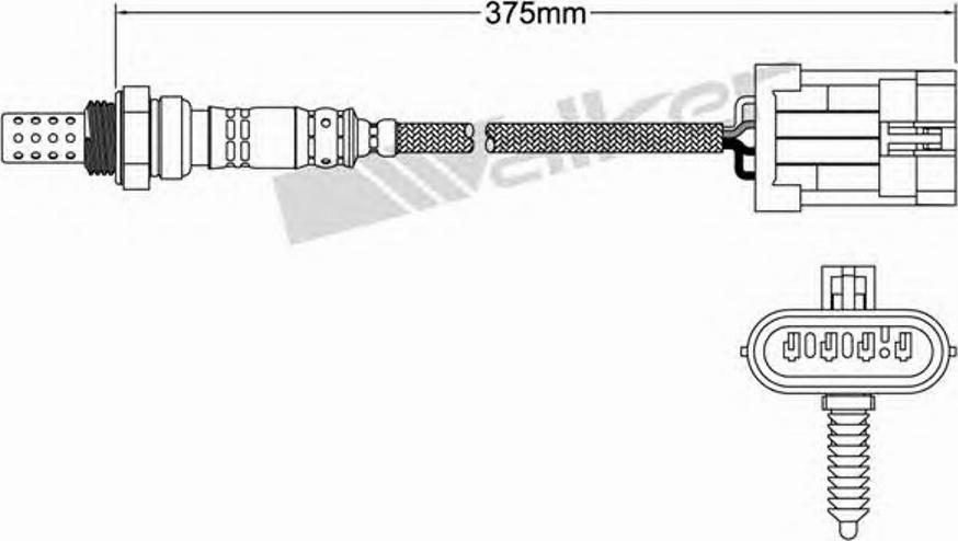 Walker 250-24012 - Lambda zonde adetalas.lv