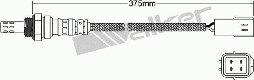 Walker 250-24183 - Lambda zonde adetalas.lv