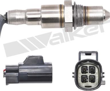 Walker Products 350-64107 - Lambda zonde adetalas.lv