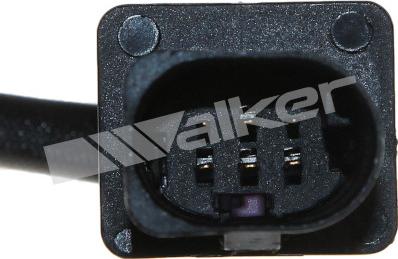 Walker Products 350-35034 - Lambda zonde adetalas.lv