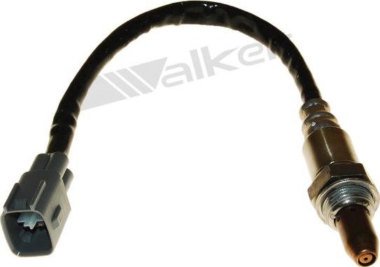 Walker Products 250-54050 - Lambda zonde adetalas.lv