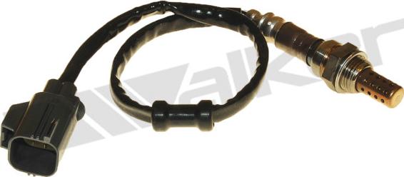 Walker Products 250-24455 - Lambda zonde adetalas.lv