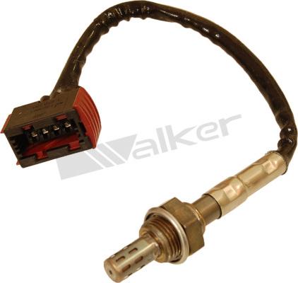 Walker Products 250-24423 - Lambda zonde adetalas.lv