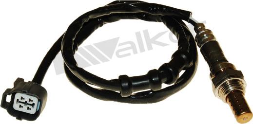 Walker Products 250-24601 - Lambda zonde adetalas.lv