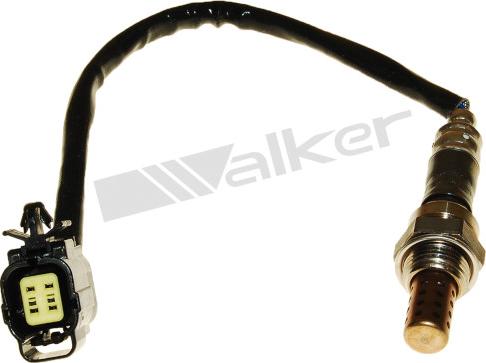 Walker Products 250-24629 - Lambda zonde adetalas.lv