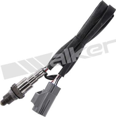 Walker Products 250-241275 - Lambda zonde adetalas.lv