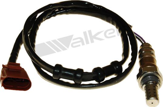 Walker Products 250-24755 - Lambda zonde adetalas.lv