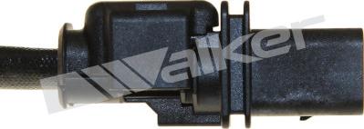 Walker Products 250-25095 - Lambda zonde adetalas.lv