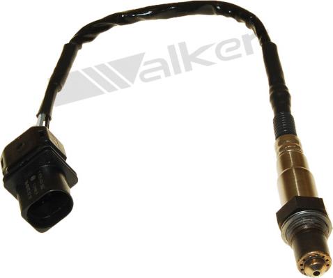 Walker Products 250-25042 - Lambda zonde adetalas.lv