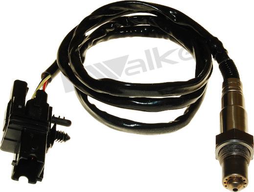 Walker Products 250-25006 - Lambda zonde adetalas.lv