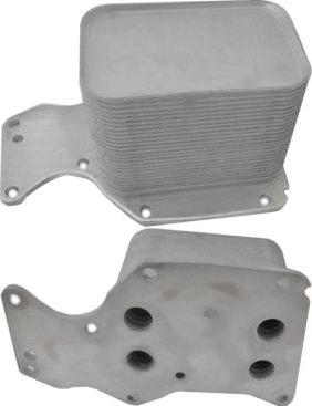 WE PARTS 381590118 - Eļļas radiators, Motoreļļa adetalas.lv