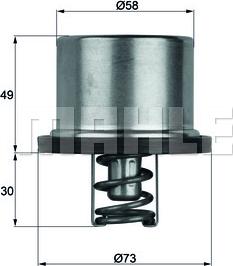 Wilmink Group WG1104043 - Termostats, Dzesēšanas šķidrums adetalas.lv