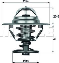 Wilmink Group WG1104798 - Termostats, Dzesēšanas šķidrums adetalas.lv