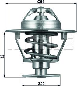 Wilmink Group WG1264931 - Termostats, Dzesēšanas šķidrums adetalas.lv