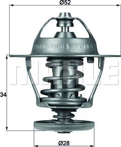 Wilmink Group WG1264924 - Termostats, Dzesēšanas šķidrums adetalas.lv