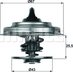 Wilmink Group WG1262818 - Termostats, Dzesēšanas šķidrums adetalas.lv