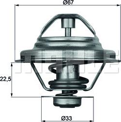 Wilmink Group WG1262719 - Termostats, Dzesēšanas šķidrums adetalas.lv