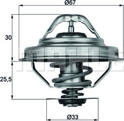 Wilmink Group WG1262729 - Termostats, Dzesēšanas šķidrums adetalas.lv