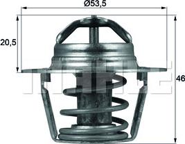 Wilmink Group WG1218013 - Termostats, Dzesēšanas šķidrums adetalas.lv