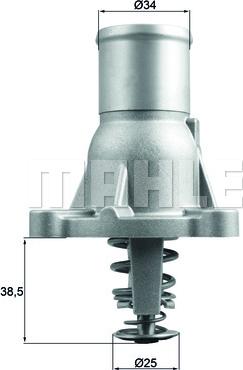 Wilmink Group WG1789647 - Termostats, Dzesēšanas šķidrums adetalas.lv