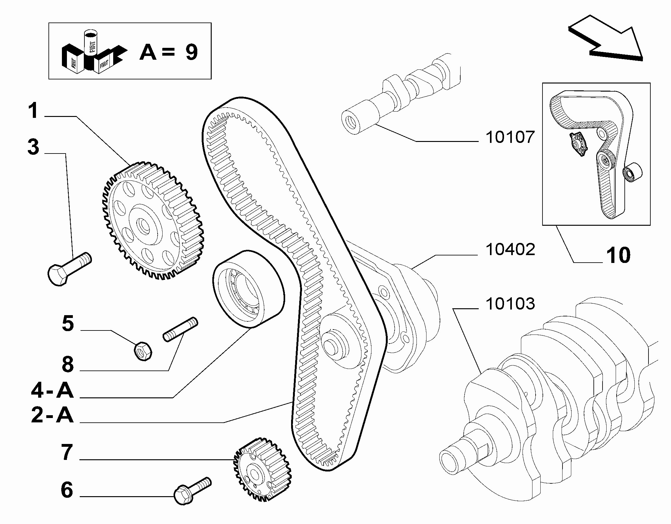 Jeep 55248394 - Spriegotājrullītis, Gāzu sadales mehānisma piedziņas siksna adetalas.lv