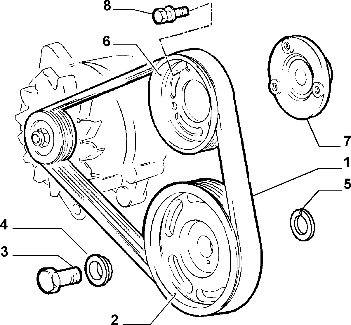 FIAT 71739926 - Ķīļrievu siksna adetalas.lv