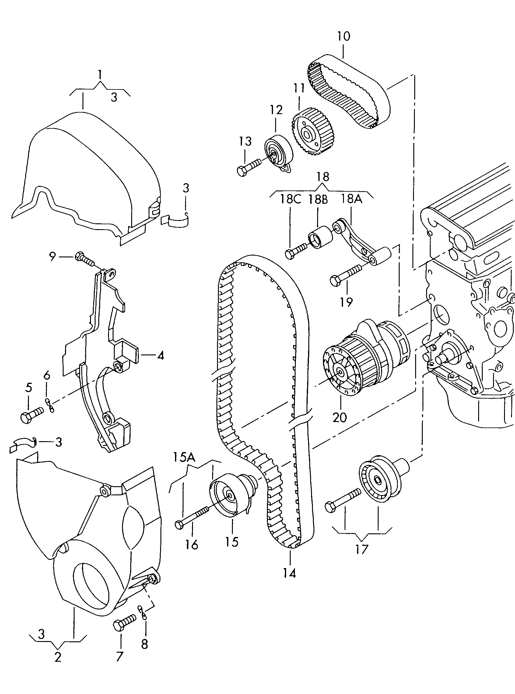 AUDI 036 109 243 AF - Spriegotājrullītis, Gāzu sadales mehānisma piedziņas siksna adetalas.lv